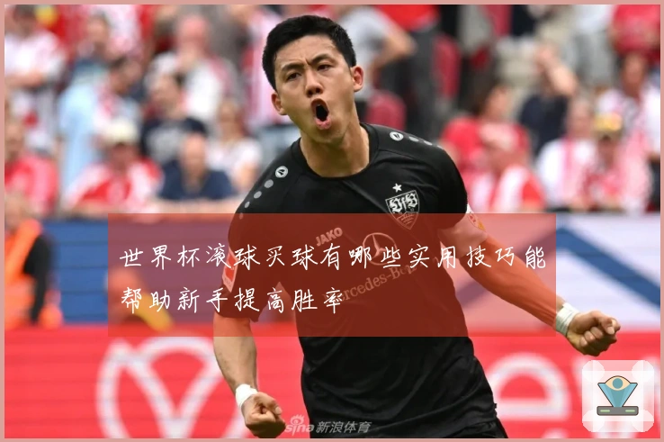 世界杯滚球买球有哪些实用技巧能帮助新手提高胜率