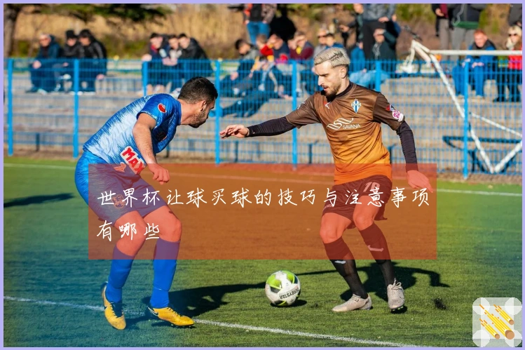 世界杯让球买球的技巧与注意事项有哪些