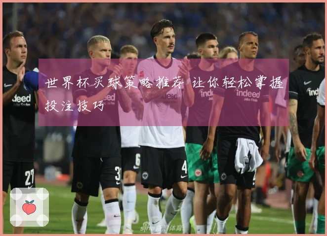 世界杯买球策略推荐 让你轻松掌握投注技巧