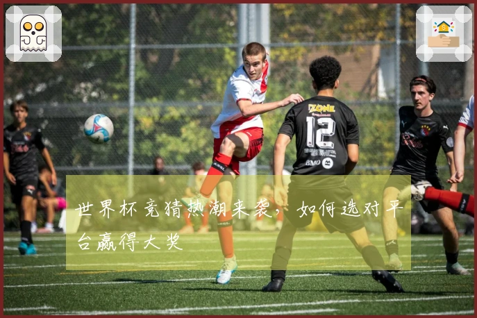 世界杯竞猜热潮来袭，如何选对平台赢得大奖