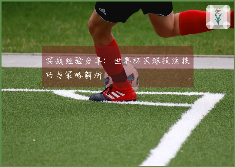 实战经验分享：世界杯买球投注技巧与策略解析