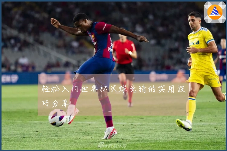 轻松入门世界杯买球竞猜的实用技巧分享