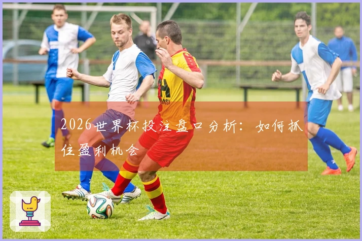 2026世界杯投注盘口分析:如何抓住盈利机会