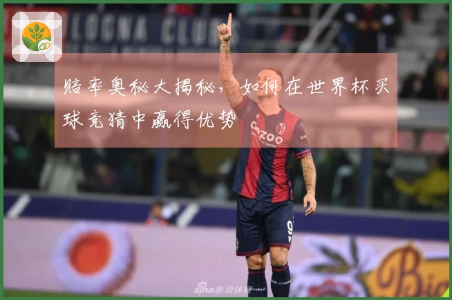 赔率奥秘大揭秘，如何在世界杯买球竞猜中赢得优势