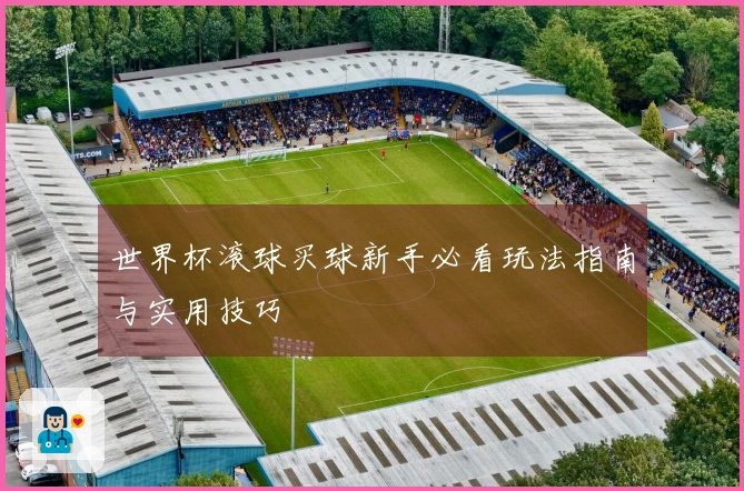 世界杯滚球买球新手必看玩法指南与实用技巧