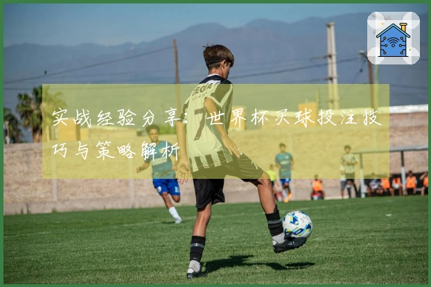 实战经验分享：世界杯买球投注技巧与策略解析