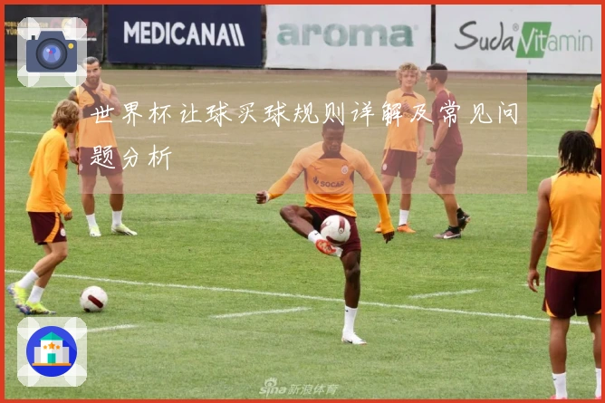 世界杯让球买球规则详解及常见问题分析